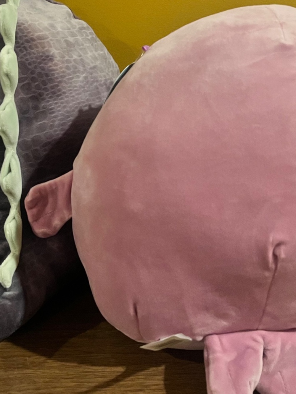 Squishmallow Collection - Picture 3 of 4